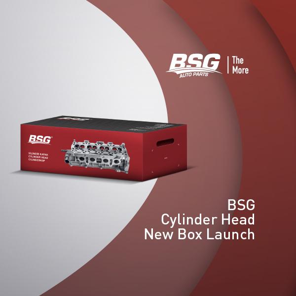 BSG Cylinder Head New Packaging Launch