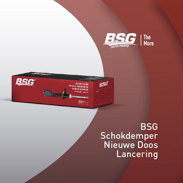 Lancering van de nieuwe verpakking van de BSG-schokdempers