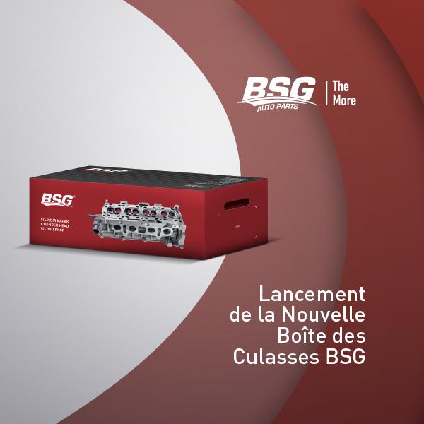 Lancement du nouvel emballage des cylindres BSG