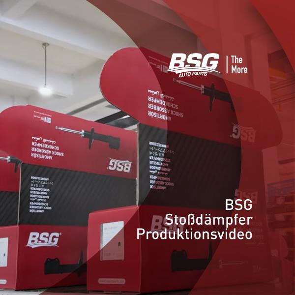 Produktionsvideo zu BSG-Stoßdämpfern
